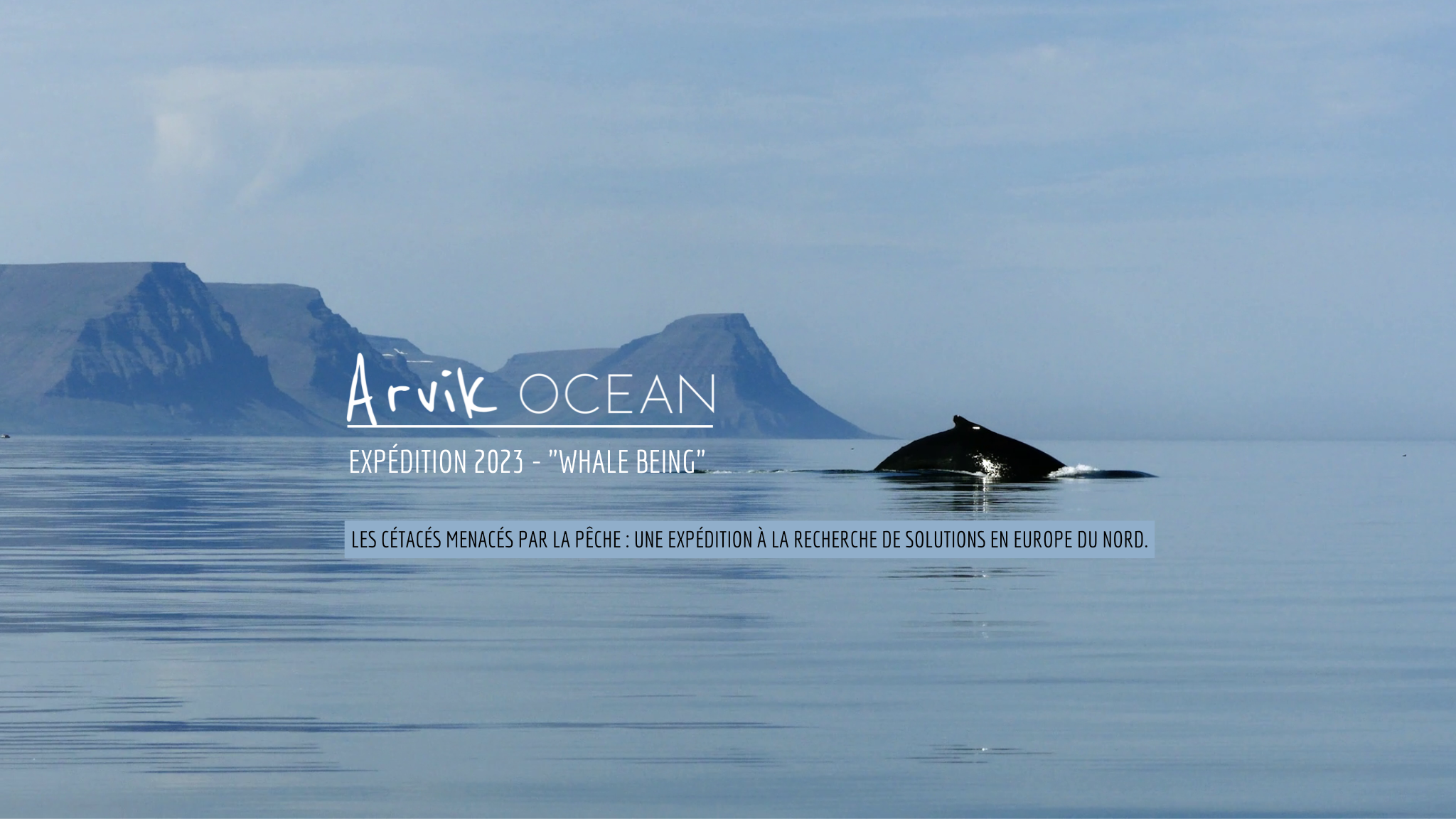 mission 2023 site internet (2048 × 1152 px)