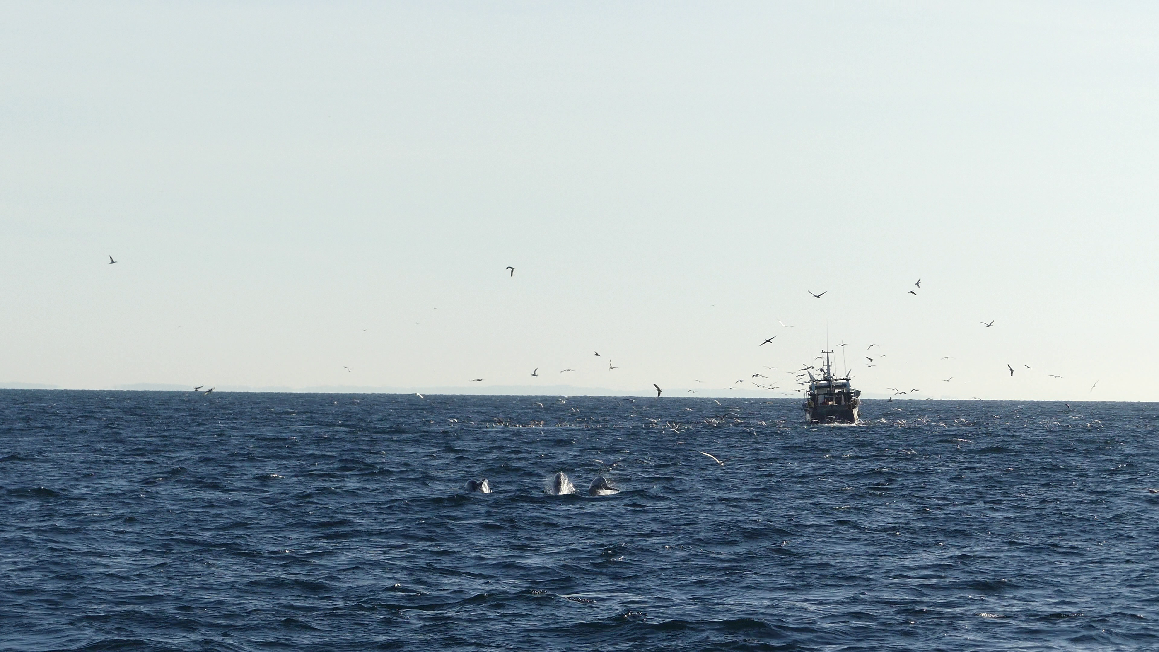 vlcsnap-2023-03-09-18h24m51s621