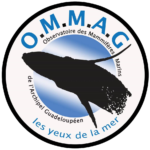 logo ommag